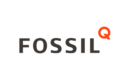 Fossil Q